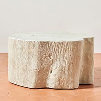 Anthropologie Concrete Root Coffee Table