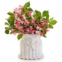 Pleats & Bow Flower Vase